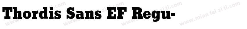 Thordis Sans EF Regu字体转换